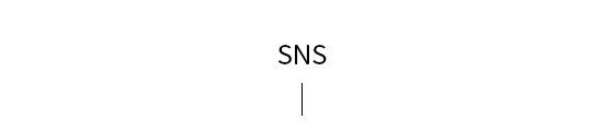 sns_title